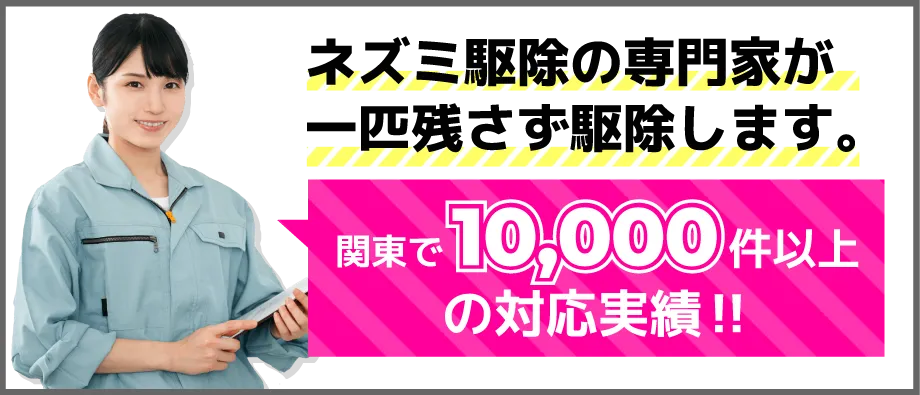 ネズミ駆除の専門家が一匹残さず駆除します。関東で10,000件以上の対応実績