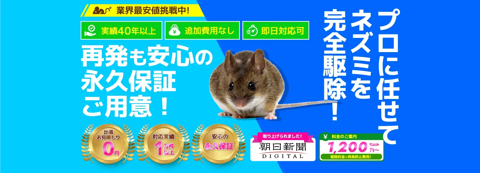 プロに任せてネズミを完全駆除！再発も安心の永久保証ご用意！